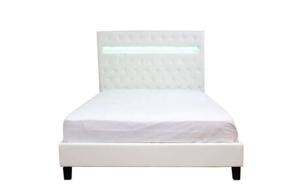 Otis King or Queen Bed in Black or White