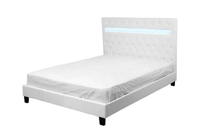 Otis King or Queen Bed in Black or White