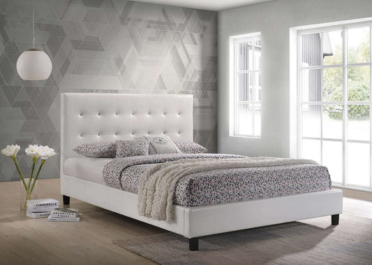 Glare King, Queen or Double Size Bed in White PU, Black PU, Grey Velvet