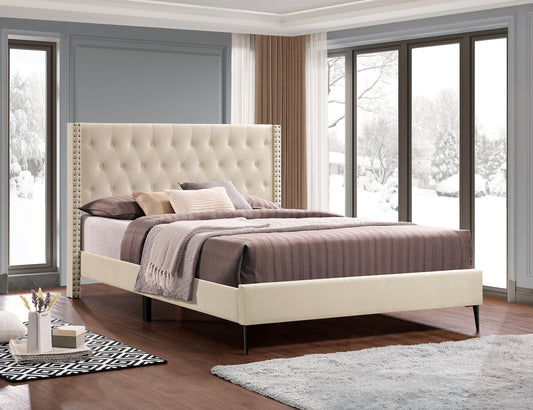 IF 5592 Transitional Style Platform Bed
