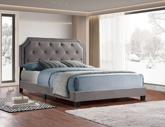 IF-5610 Transitional Style Platform Bed