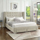 International Furniture Distribution Centre - Creme Velvet Fabric Wing Bed with Nailhead Details and Chrome Legs - IF 5322 - Q